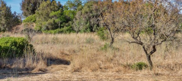  قطعة أرض في Mexilhoeira Grande, Portugal 36800متر مربع رقم 122507 15