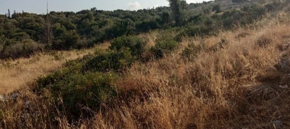 house à vendre à Zakynthos, Ionian Islands, Peloponnese, Western Greece and the Ionian, Greece № 483 9