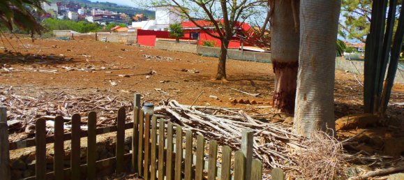 Casa de 3 dormitorios en Tacoronte, Spain No. 31260 16