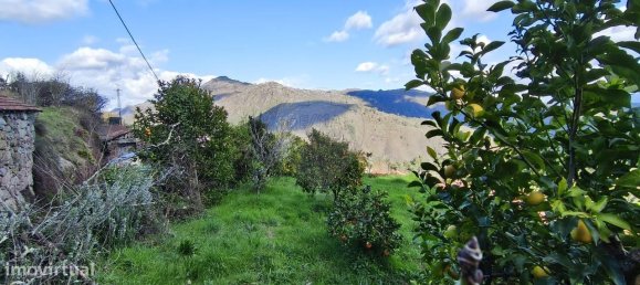 1 غرف نوم منزل في Covide, Portugal رقم 39335 6