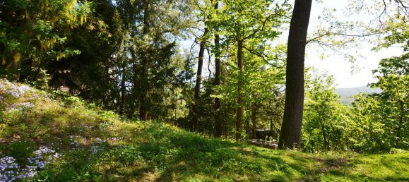 4غرفة شقة في Penzing, Austria رقم 129022 14