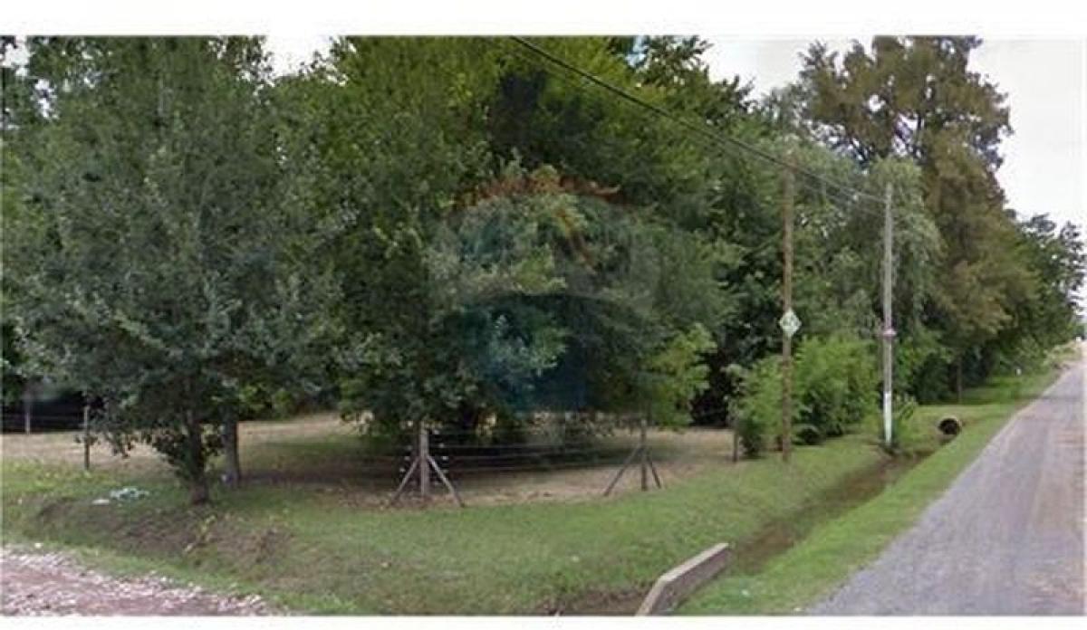  Land in Campo Creado, Argentina No. 40017