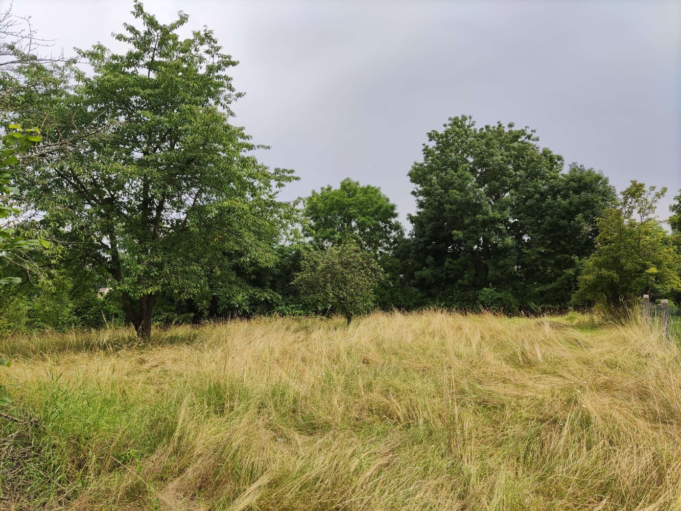  Land in Saale-Holzland, Germany No. 204872