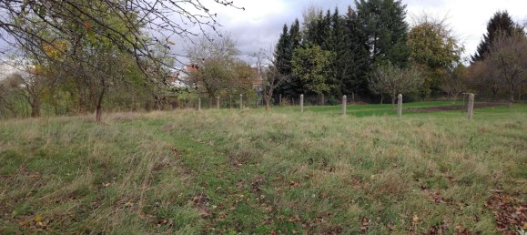  Land in Saale-Holzland, Germany No. 204872 46