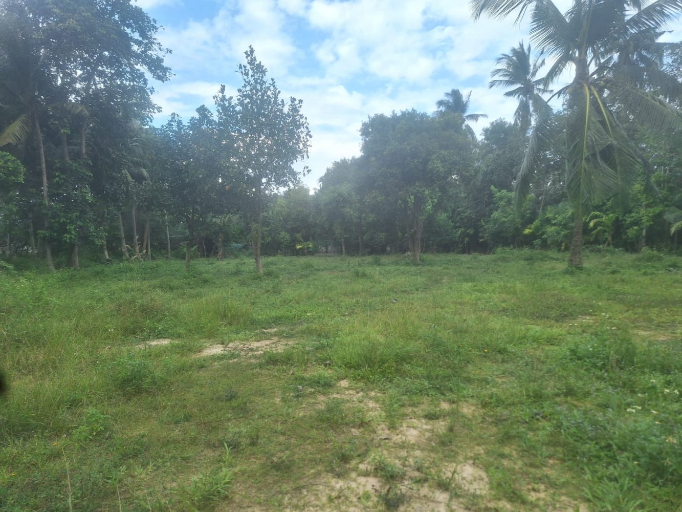 Terrain à Ko Samui, Thailand No. 71072