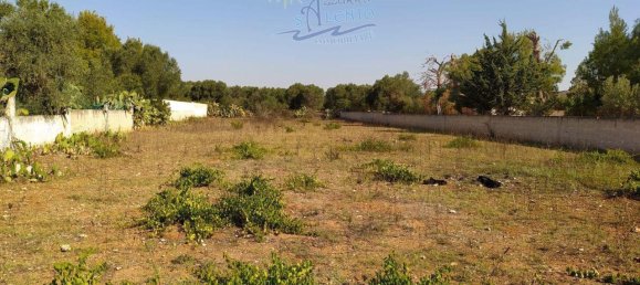 1 room Land in Maruggio, Italy No. 33754 5