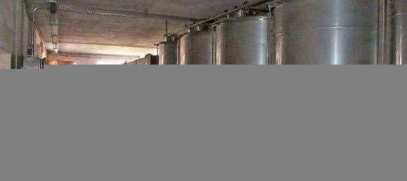 4 rooms House in Bettola, Italy No. 226487 37