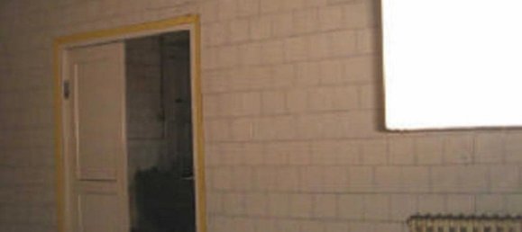 مستودع في Villablino, Spain 284متر مربع رقم 33531 5