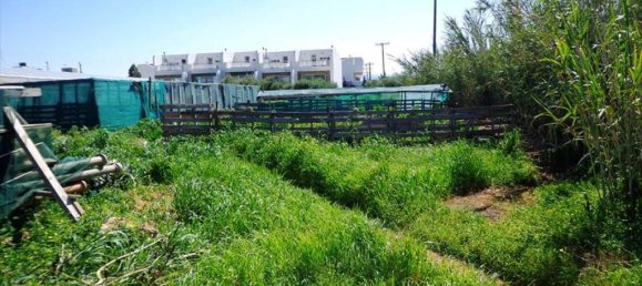 3783m² Hotel in Lasithi, Greece No. 6954 4