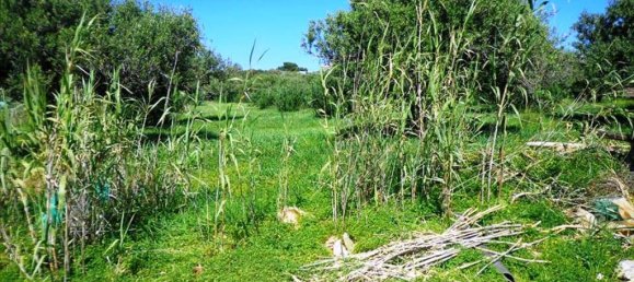 3783m² Hotel in Lasithi, Greece No. 6954 5