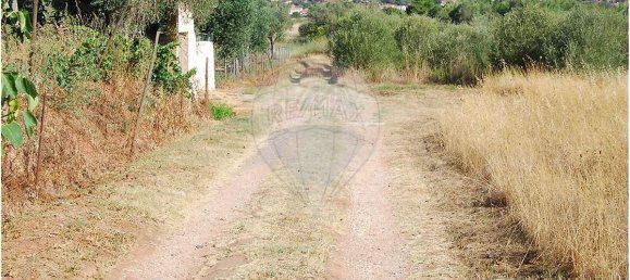  قطعة أرض في Sao Bartolomeu de Messines, Portugal 920متر مربع رقم 42468 5