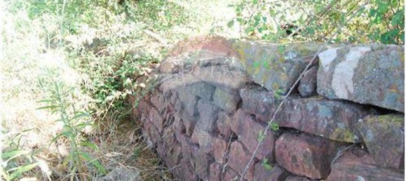  قطعة أرض في Sao Bartolomeu de Messines, Portugal 920متر مربع رقم 42468 10