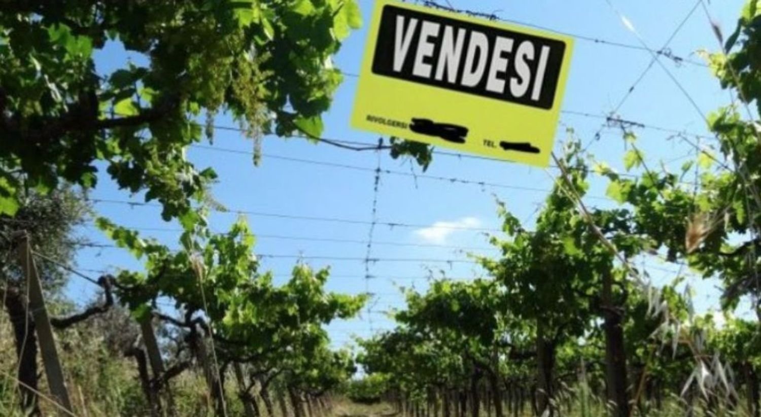 Terrain à San Severo, Italy 6500m² No. 270374