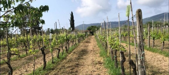 Terrain à San Severo, Italy 6500m² No. 270374 2