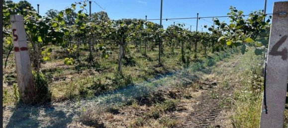 Terrain à San Severo, Italy 6500m² No. 270374 8