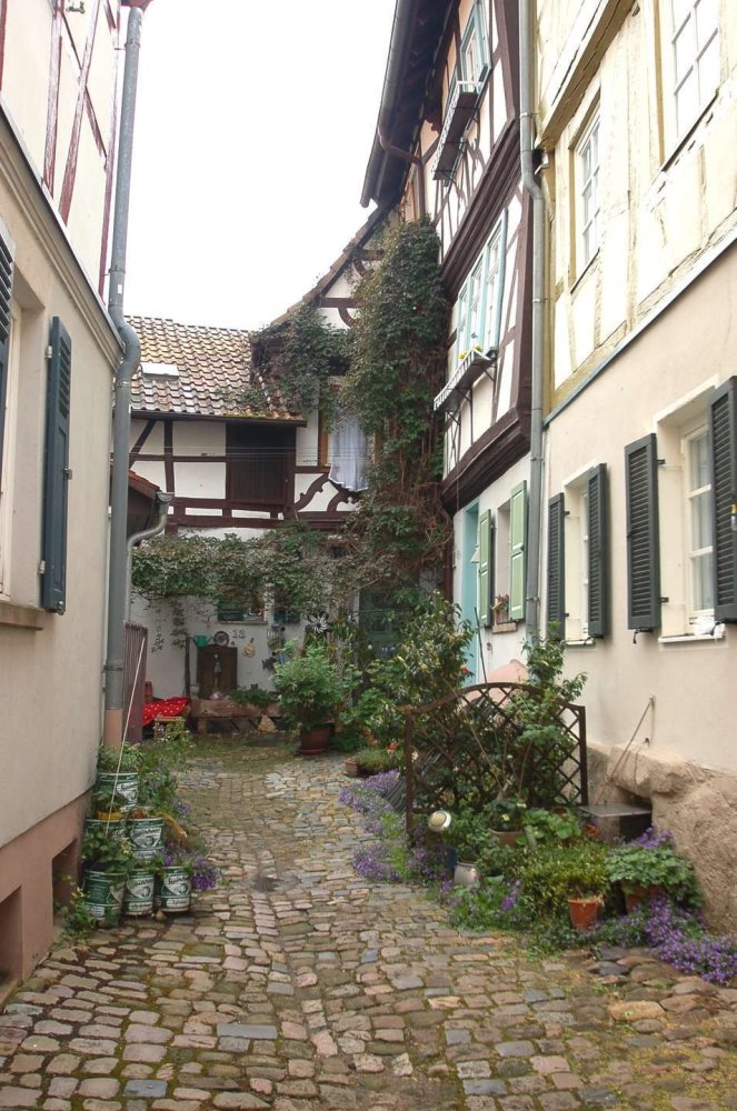 5 Schlafzimmer Stadthaus in Bergstraße, Germany, Nr. 271549