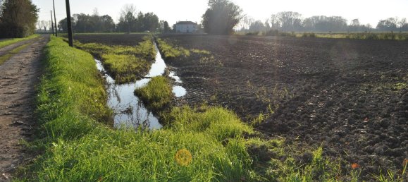  Land in Parma, Italy No. 339141 14