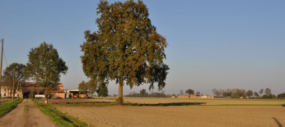  Land in Parma, Italy No. 339141 22