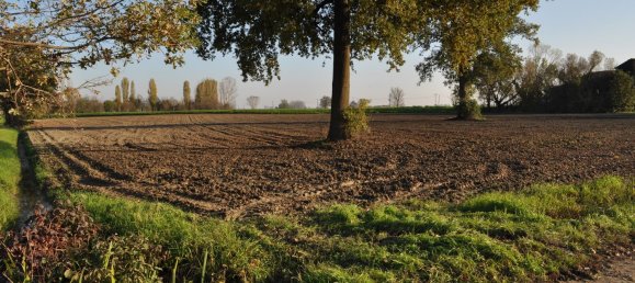  Land in Parma, Italy No. 339141 15