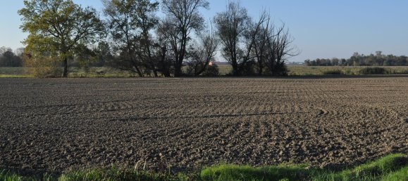  Land in Parma, Italy No. 339141 13