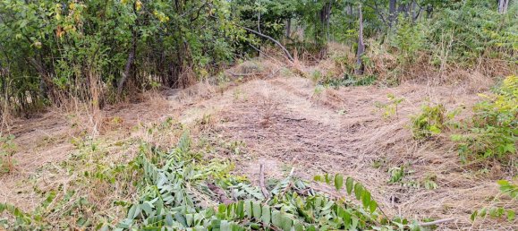 4 bedrooms House in Castelbottaccio, Italy No. 279880 47