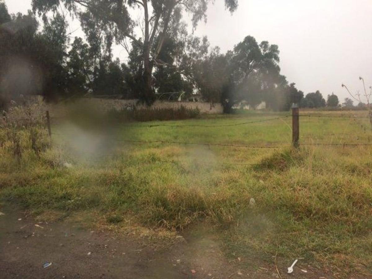 Grundstück in Texcoco de Mora, Mexico, Nr. 205934