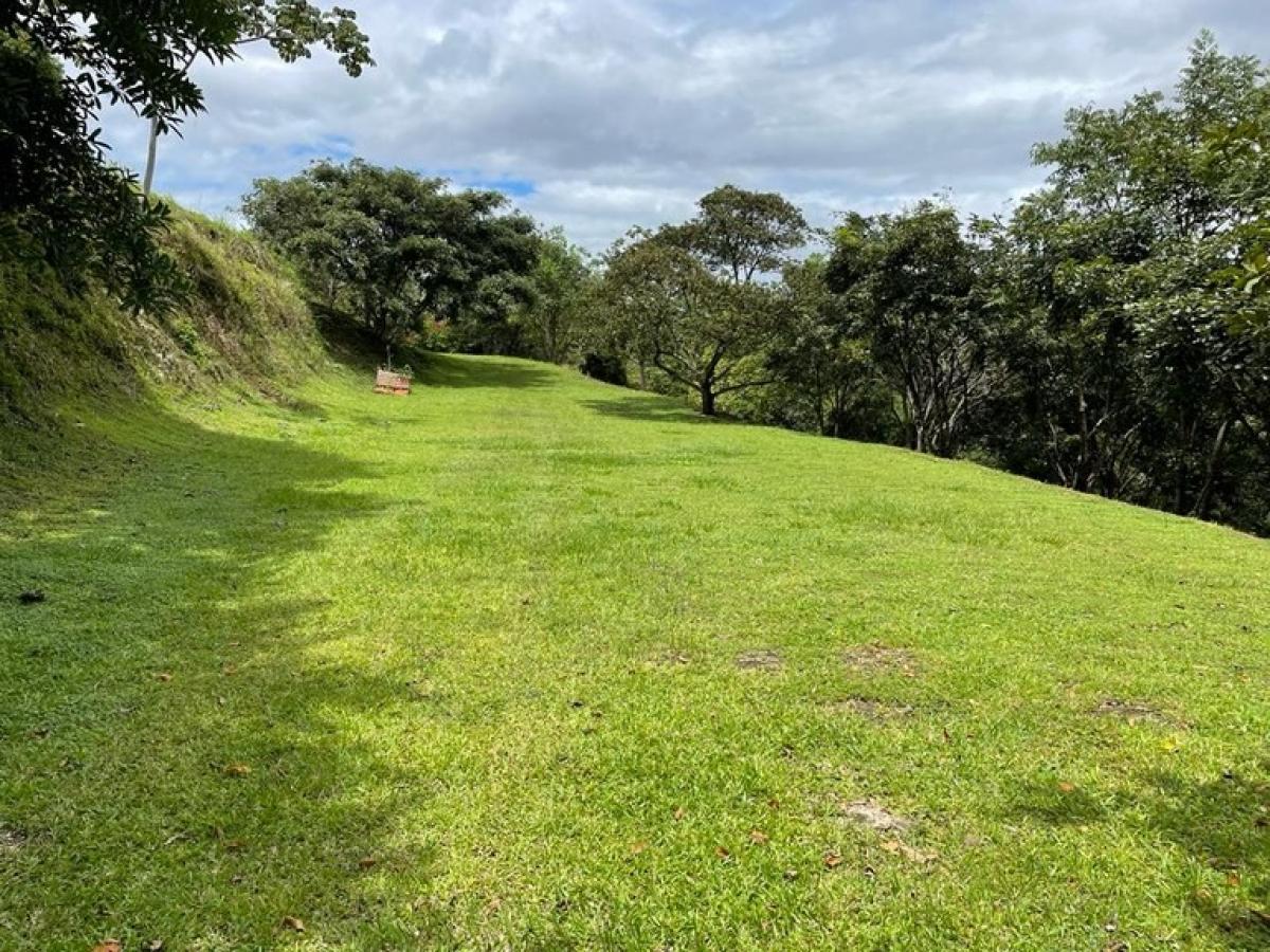 Land for sale in Alajuela, Costa Rica № 1761