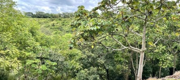 Land for sale in Alajuela, Costa Rica № 1761 6