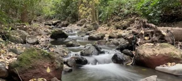 Land for sale in Alajuela, Costa Rica № 1761 4