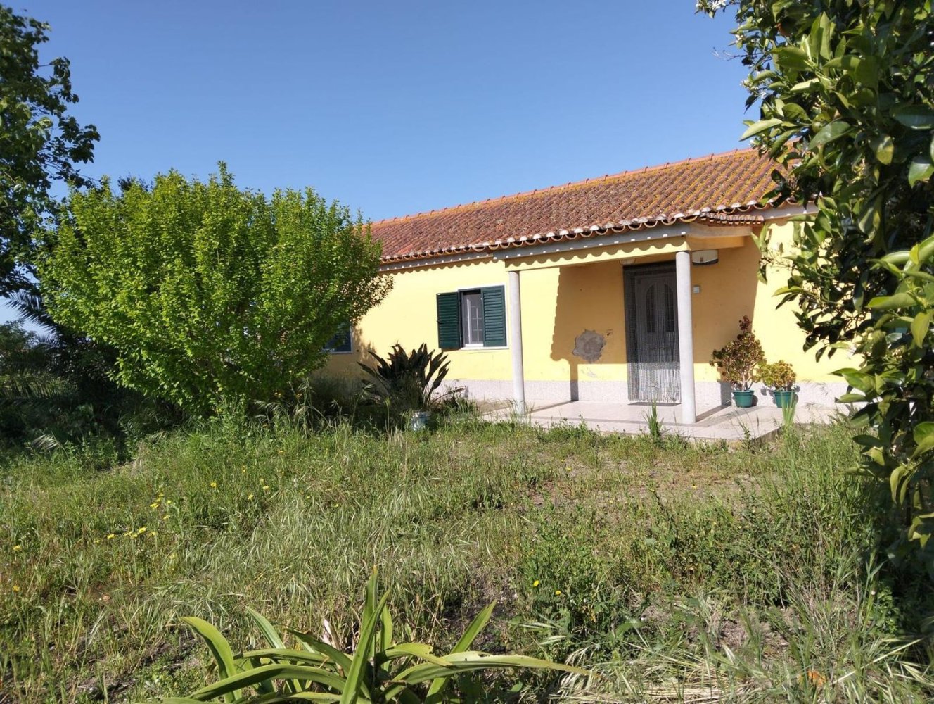  قطعة أرض في Salvaterra de Magos, Portugal رقم 194004