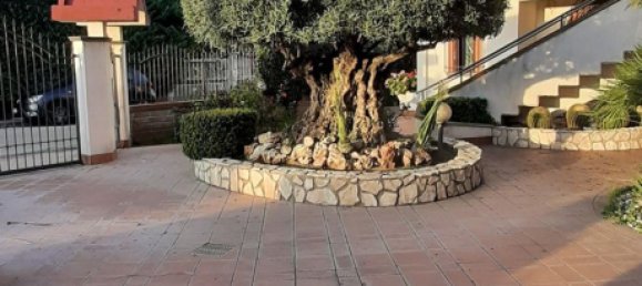 5 rooms Villa in Cellole, Italy No. 308993 8