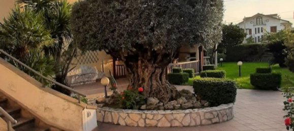 5 rooms Villa in Cellole, Italy No. 308993 15