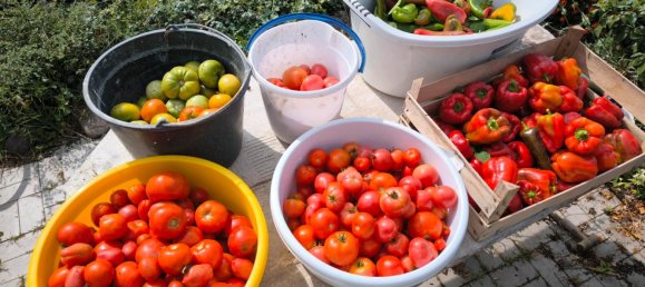 Casa de 4 divisões em Barnim, Germany N.º 358992 3