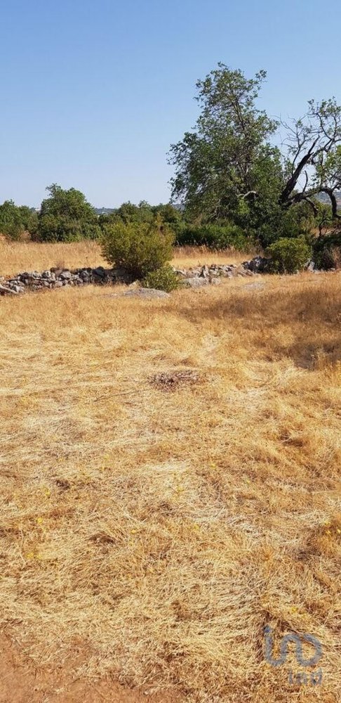 Terreno en Loule, Portugal 13750 m² No. 338151