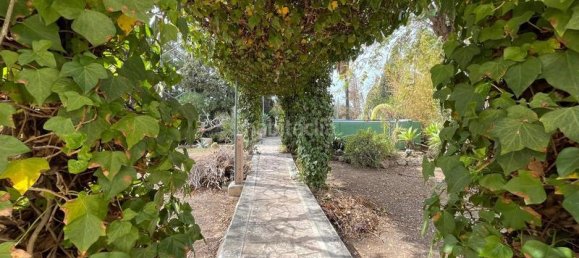 3 Schlafzimmer Haus in San Vicente del Raspeig, Spain, Nr. 190968 32