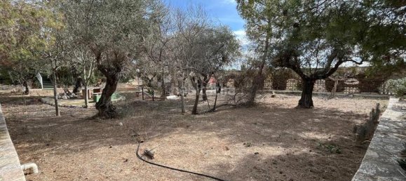 3 Schlafzimmer Haus in San Vicente del Raspeig, Spain, Nr. 190968 35