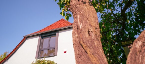 7 rooms Villa in Anhalt-Bitterfeld, Germany No. 326734 8