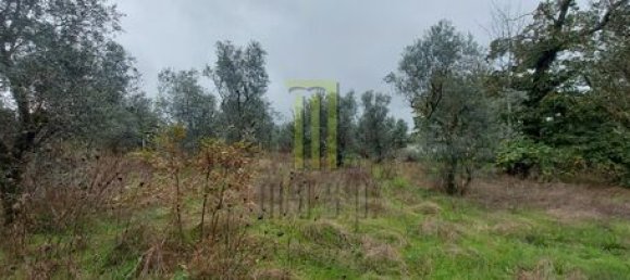  Land in Oliveira do Hospital, Portugal No. 194353 4