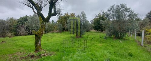 Grundstück in Oliveira do Hospital, Portugal, Nr. 194353