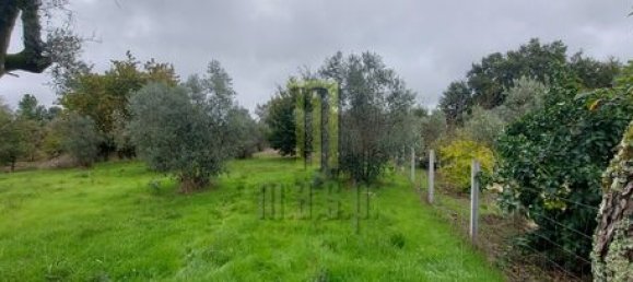  Land in Oliveira do Hospital, Portugal No. 194353 2