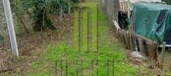  Land in Oliveira do Hospital, Portugal No. 194353 5