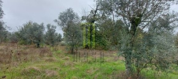  Land in Oliveira do Hospital, Portugal No. 194353 3
