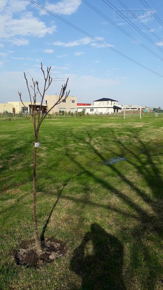 Grundstück in Escobar, Argentina, Nr. 46149