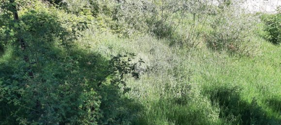 قطعة أرض في Gignod, Italy 1080متر مربع رقم 237701 21