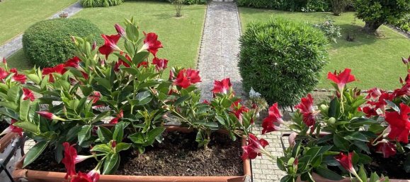 11-Zimmer Haus in Trecenta, Italy, Nr. 152054 48