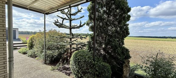 3 rooms Townhouse in Wolfsburg, Germany No. 249336 6