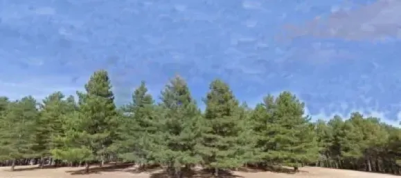 Земельный участок 6800м² в Леон, Испания № 138799 4