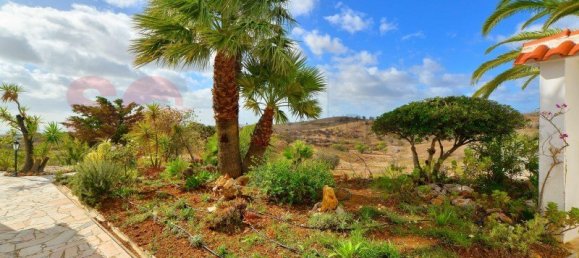 Дом с 4 спальнями в Вила Нова де Касела, Португалия № 112636 24