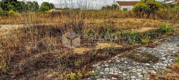 745m² Land in Santarem, Portugal No. 12652 15