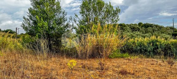 745m² Land in Santarem, Portugal No. 12652 24